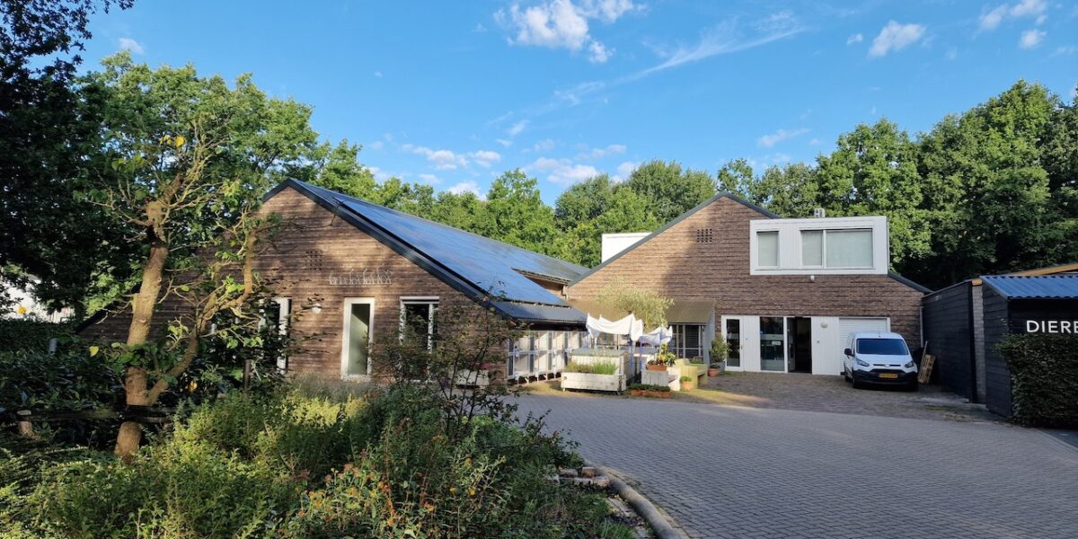 Dierentehuis Stevenshage bereidt zich voor op nieuwe hittegolf