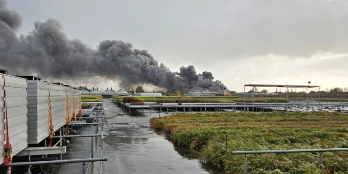 Grote brand bij kwekerij in Hazerswoude, zwarte rookwolken al van ver te zien