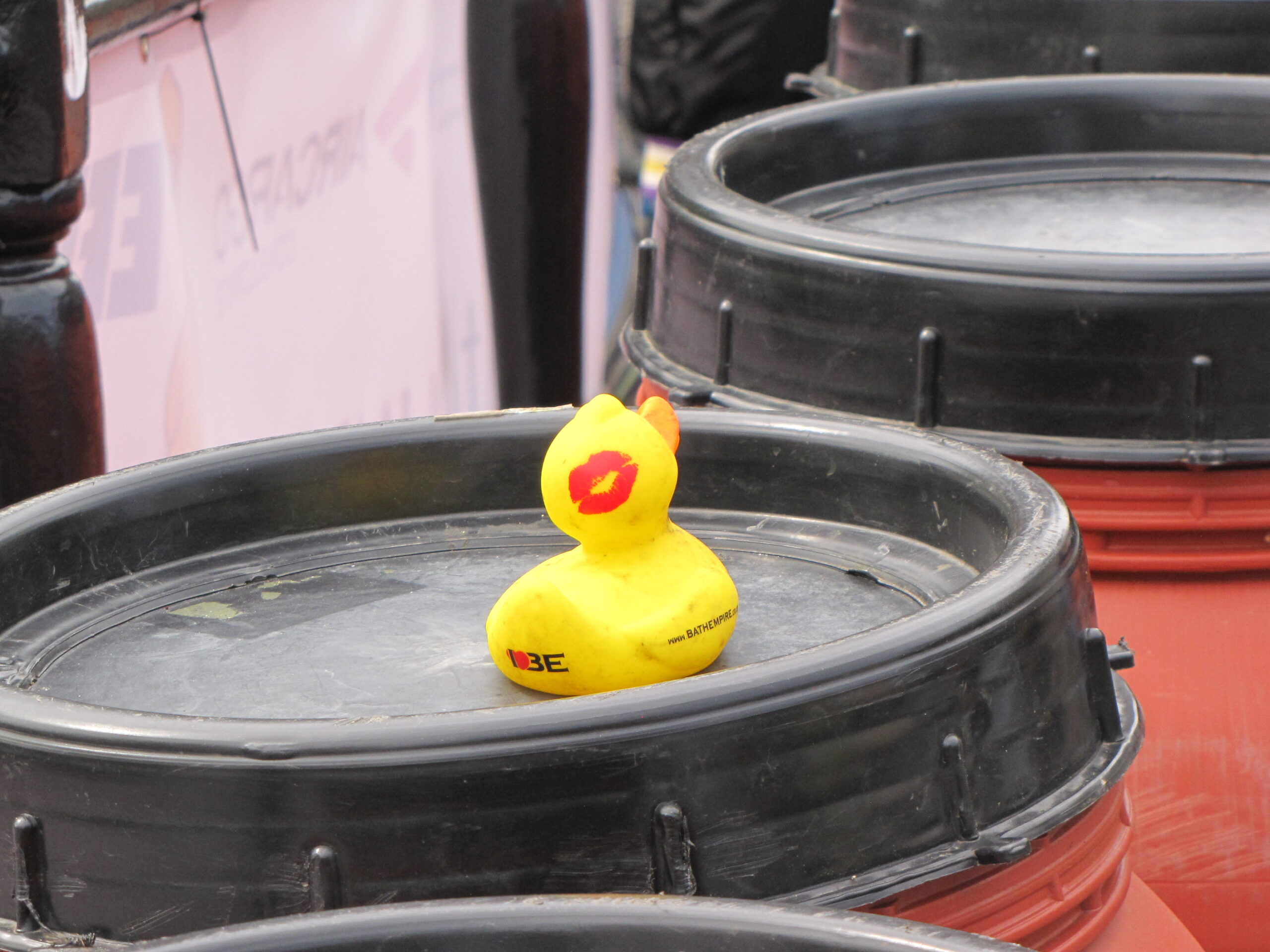 "Waar zijn ze nou allemaal gebleven?"(Foto: Paul Aalbers)