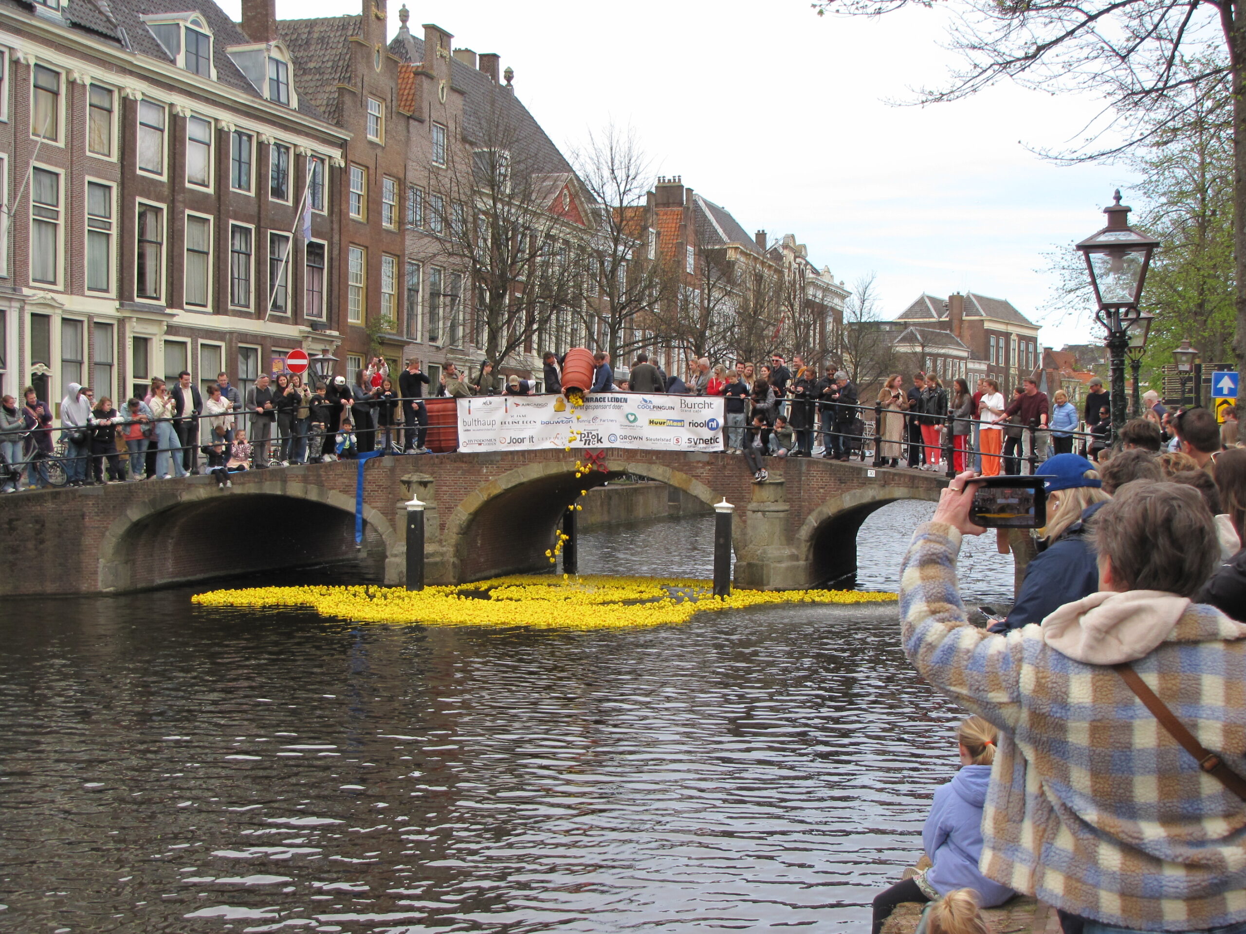 De eenden gaan het water in. (Foto: Paul Aalbers)