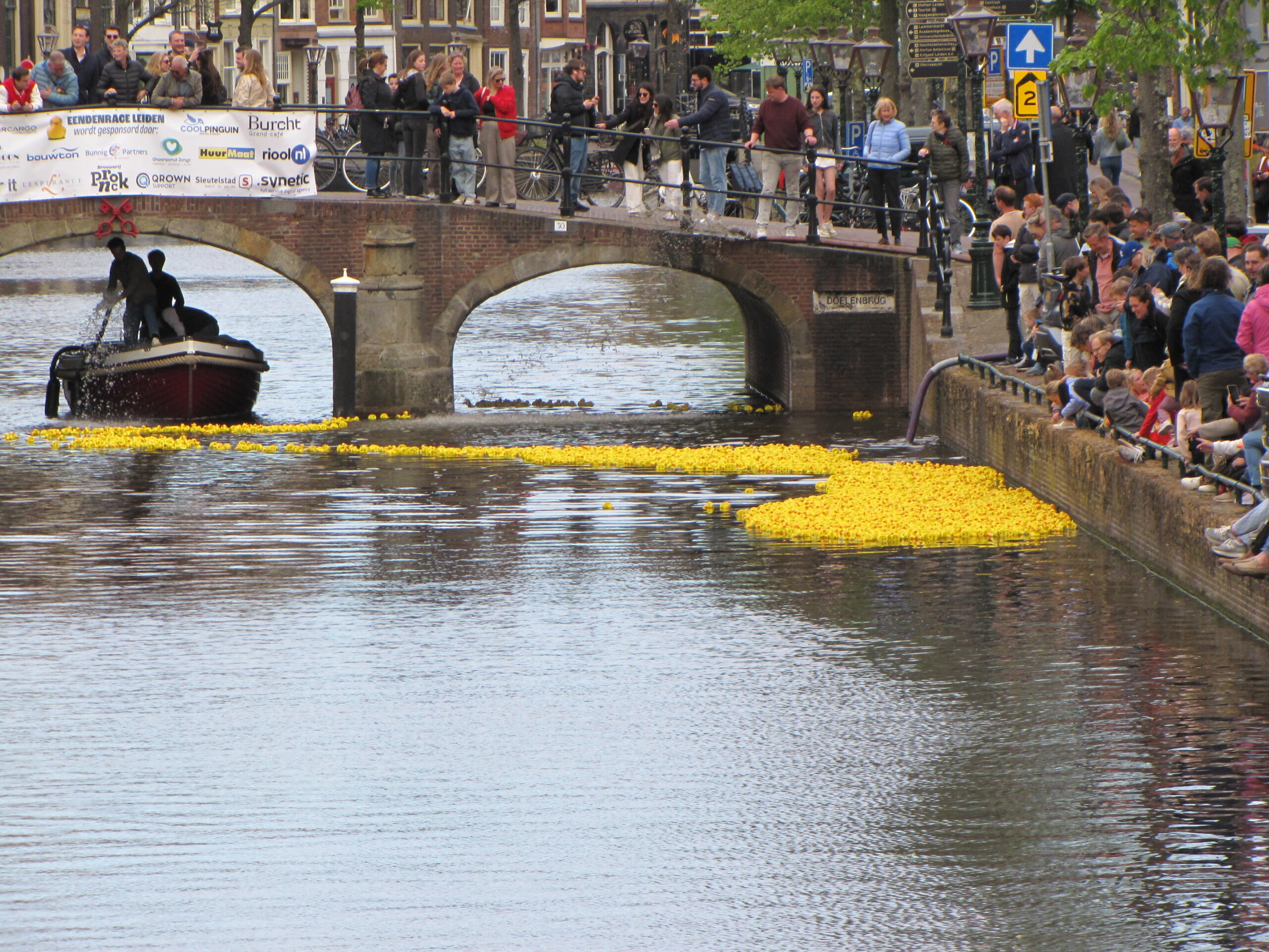 Ook de achteruitzwemmers komen weer bij de groep. (Foto: Paul Aalbers)
