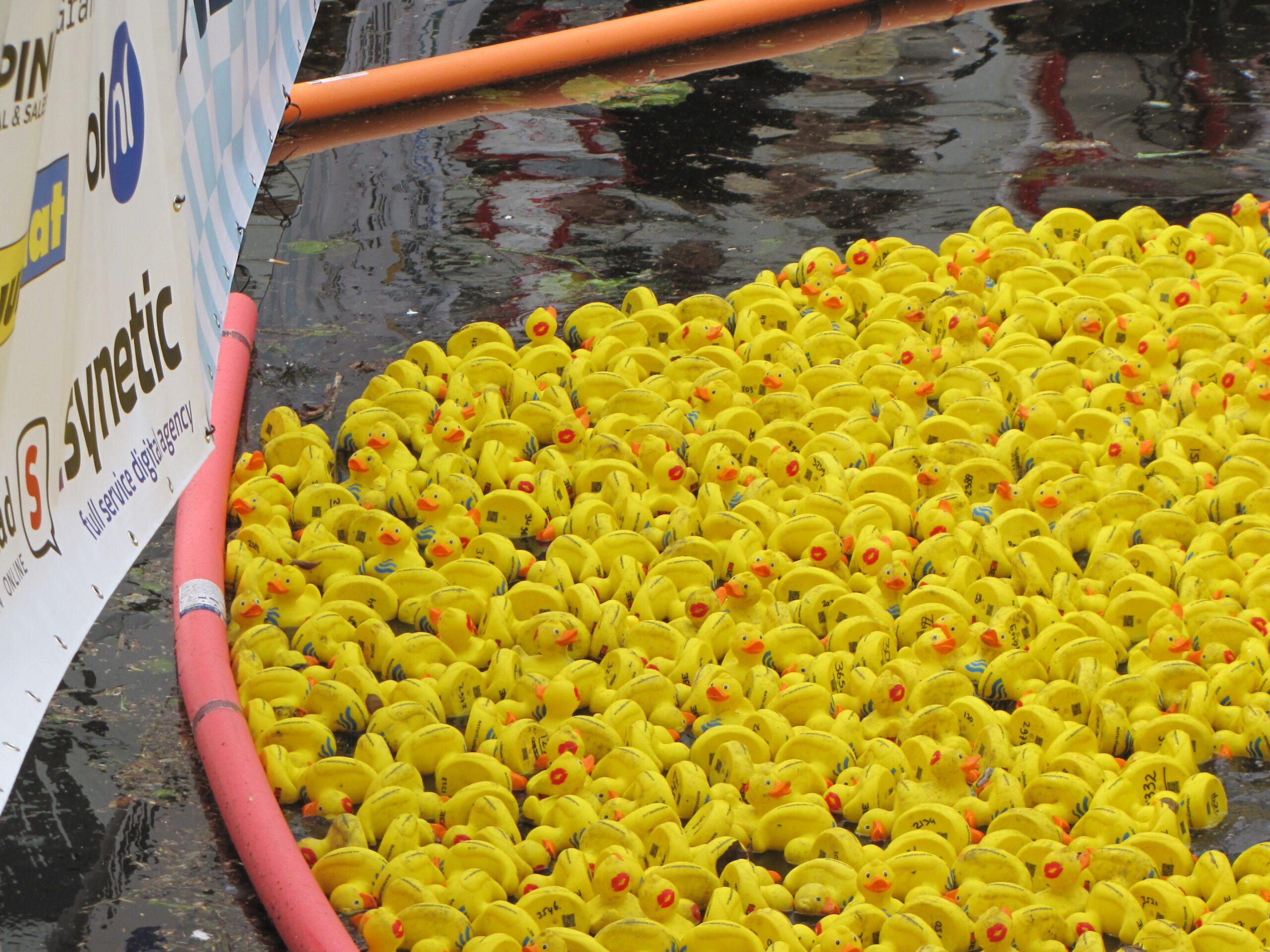 Massale finish. Leuke klus voor de jury. (Foto: Paul Aalbers)