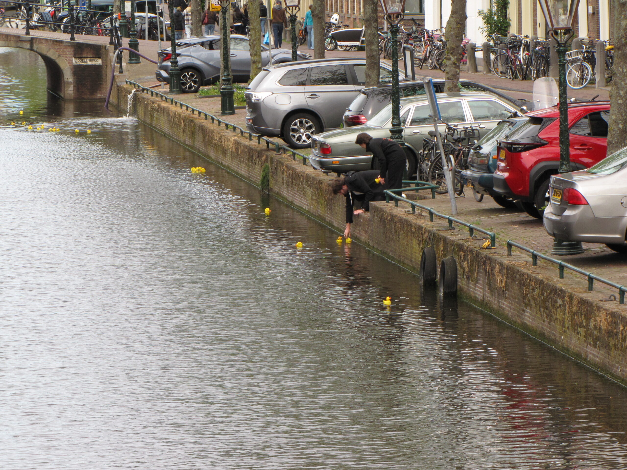 De echte achterblijvers, niet ver gekomen. (Foto: Paul Aalbers)