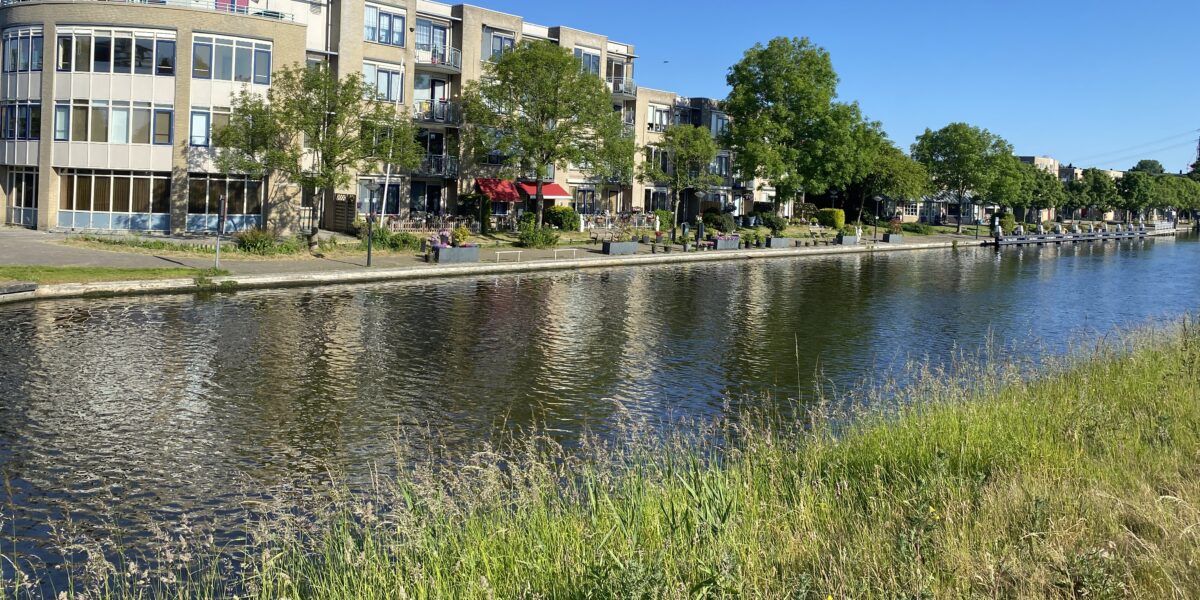 Herinrichting Zijloever PanoramaPark Leiden krijgt vervolg