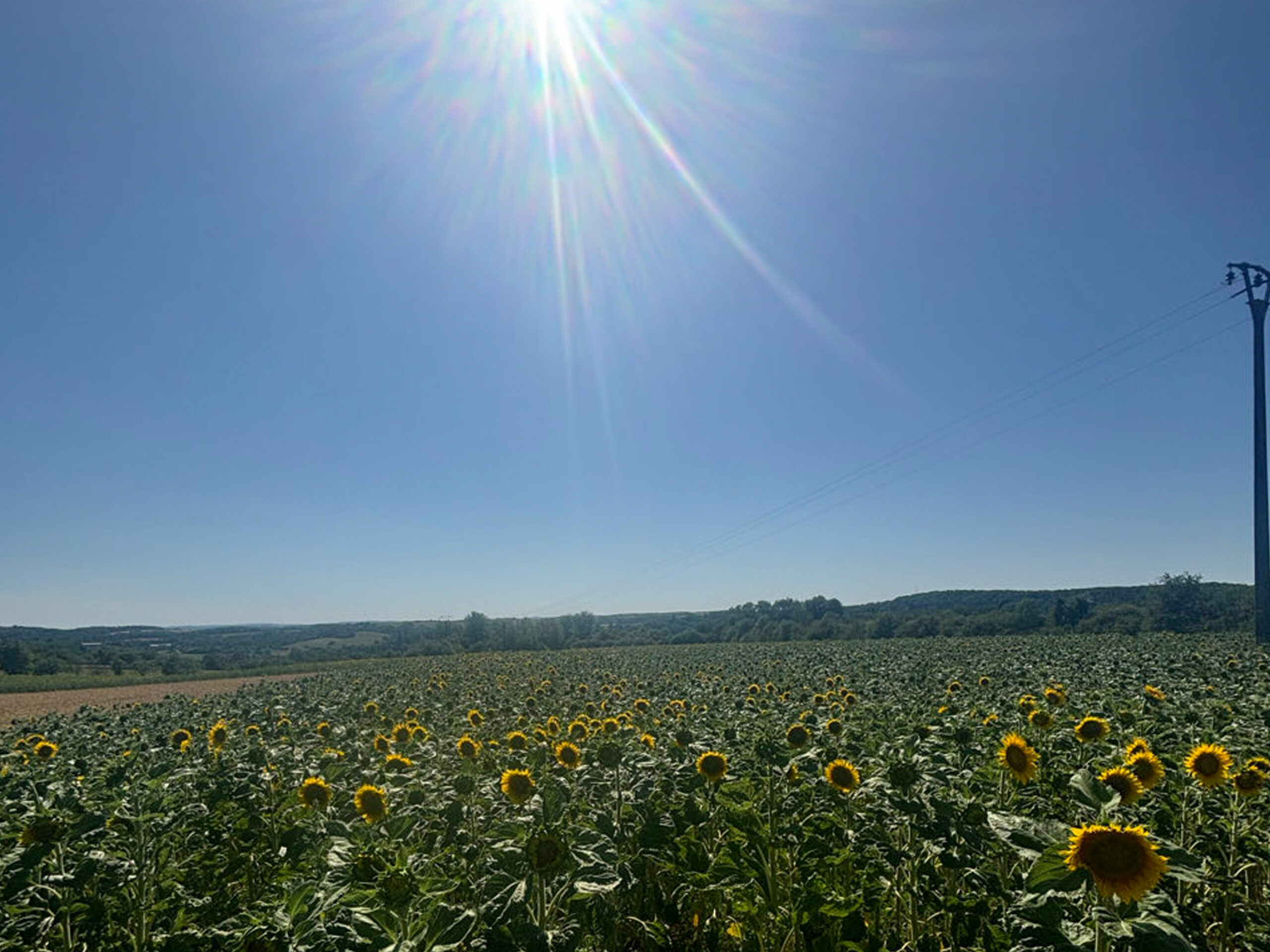 Frankrijk! (Foto: Heart To Handle Leiden)