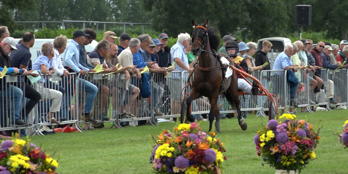 Volle tribune bij Kortebaandraverij op Stompwijkse Paardendagen