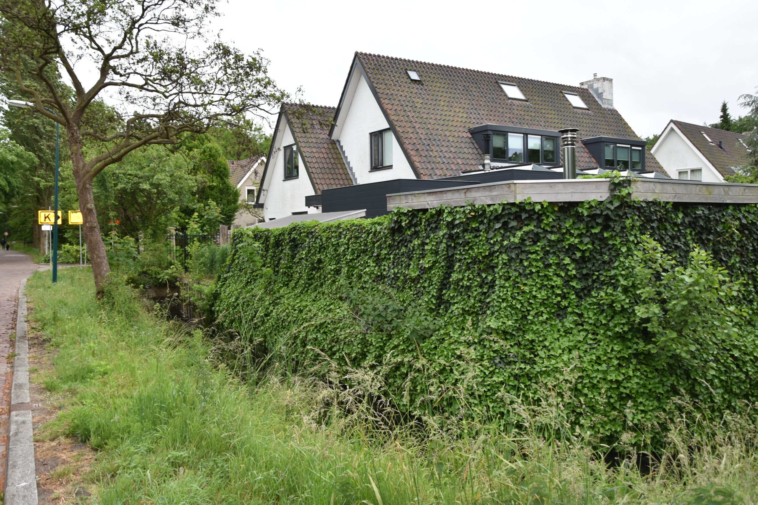 Foto: Peter van Delft