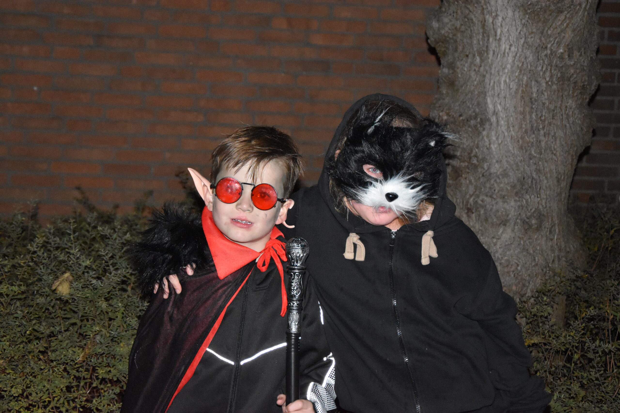 Foto: Peter van Delft