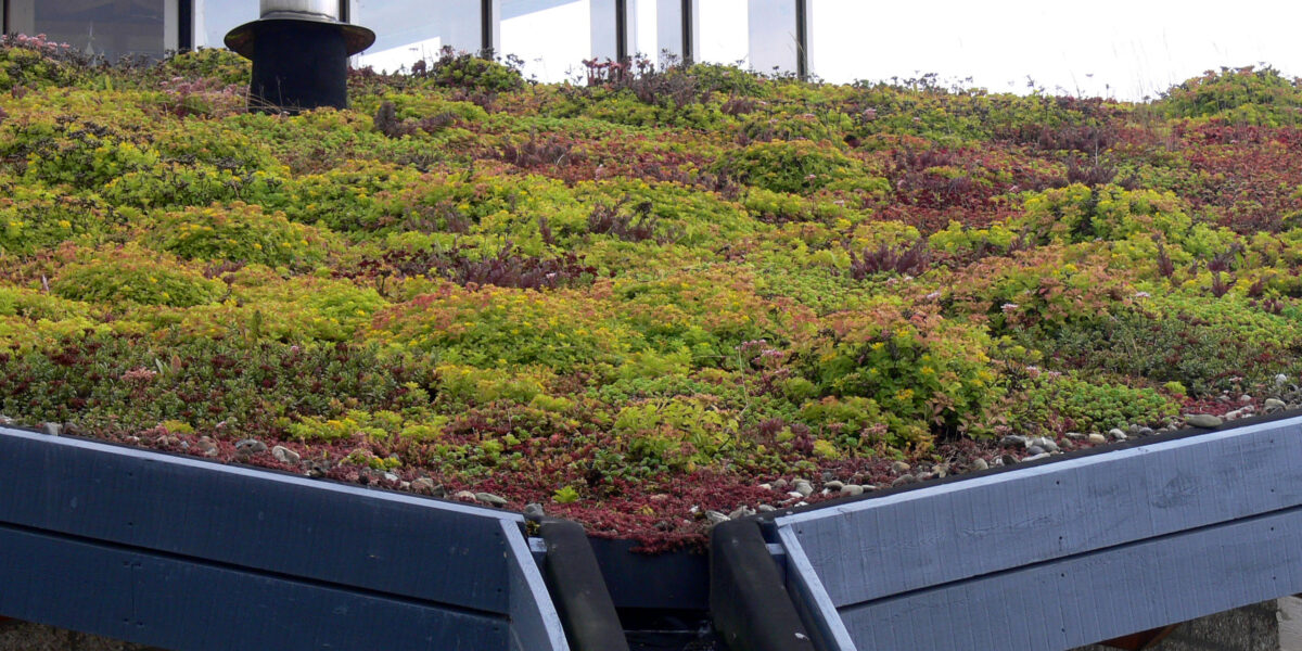 Wassenaar doet mee aan Nationale Klimaatweek