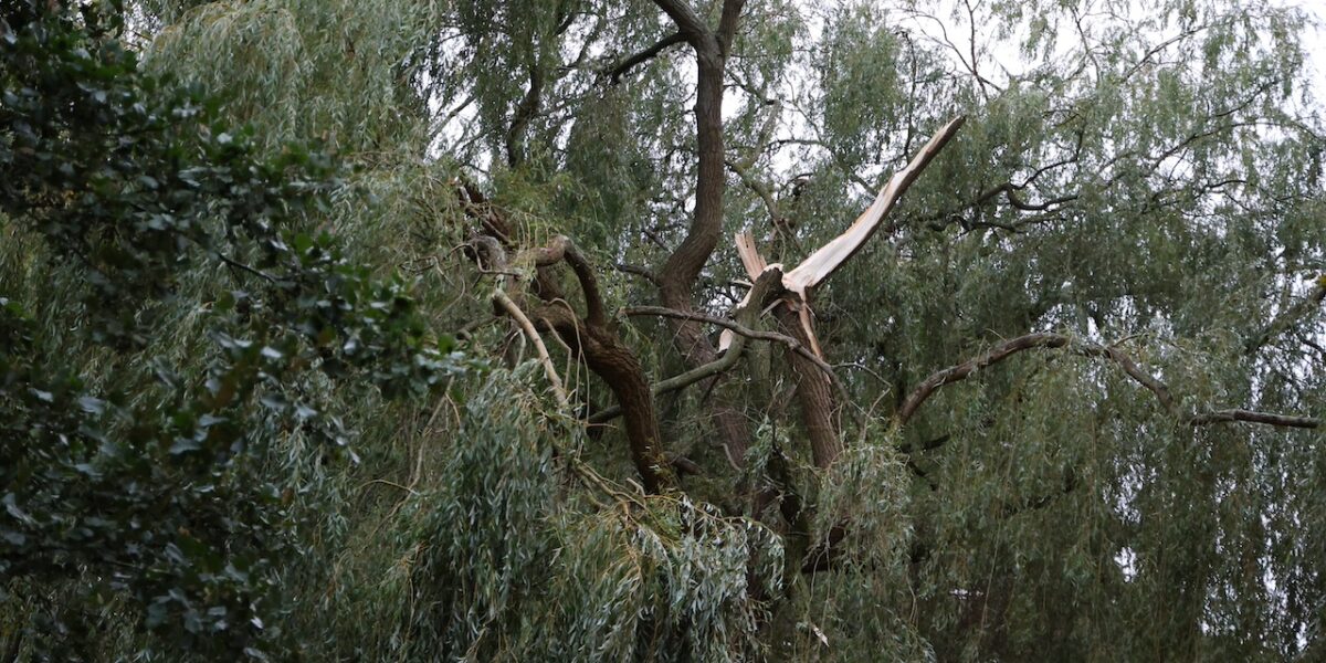 Harde wind zorgt voor schade in de regio