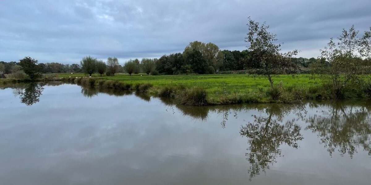 Deel van park Cronesteyn afgesloten om onveilige bomen