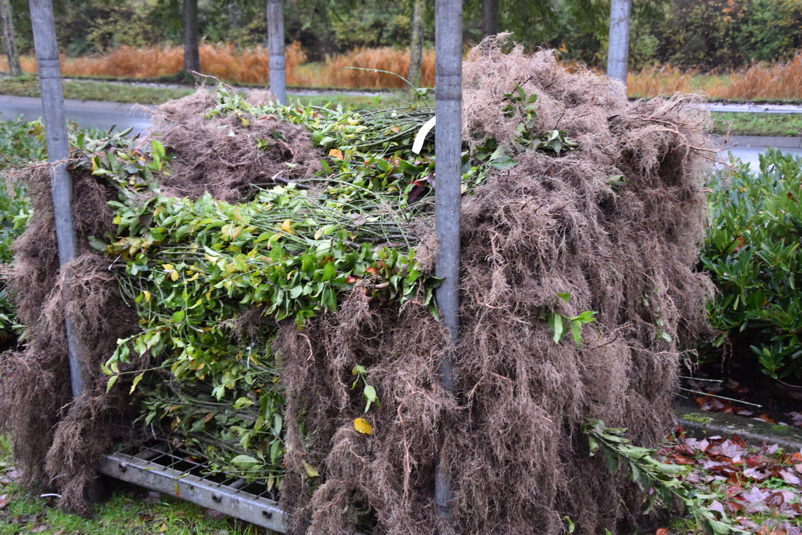 Foto: Peter van Delft