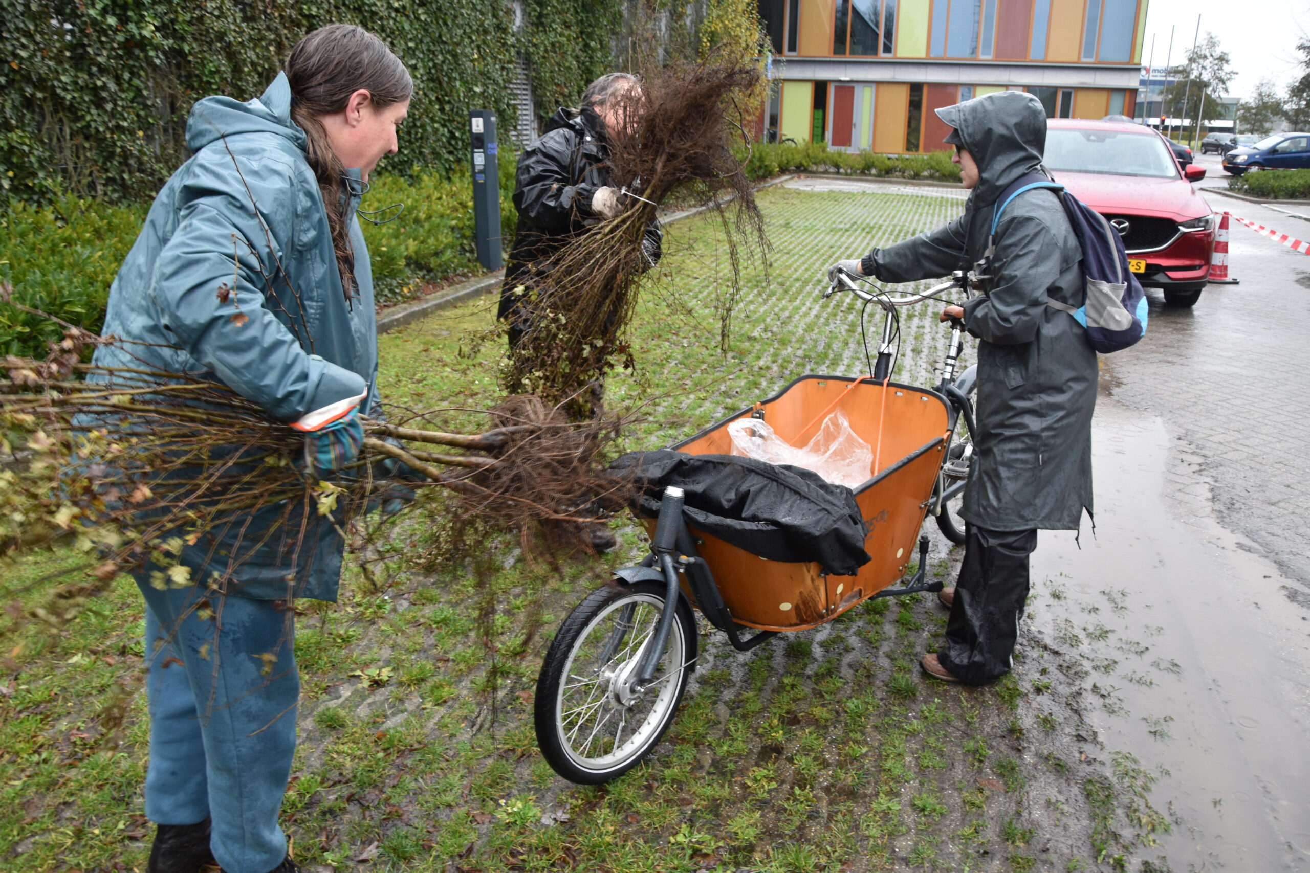 Foto: Peter van Delft