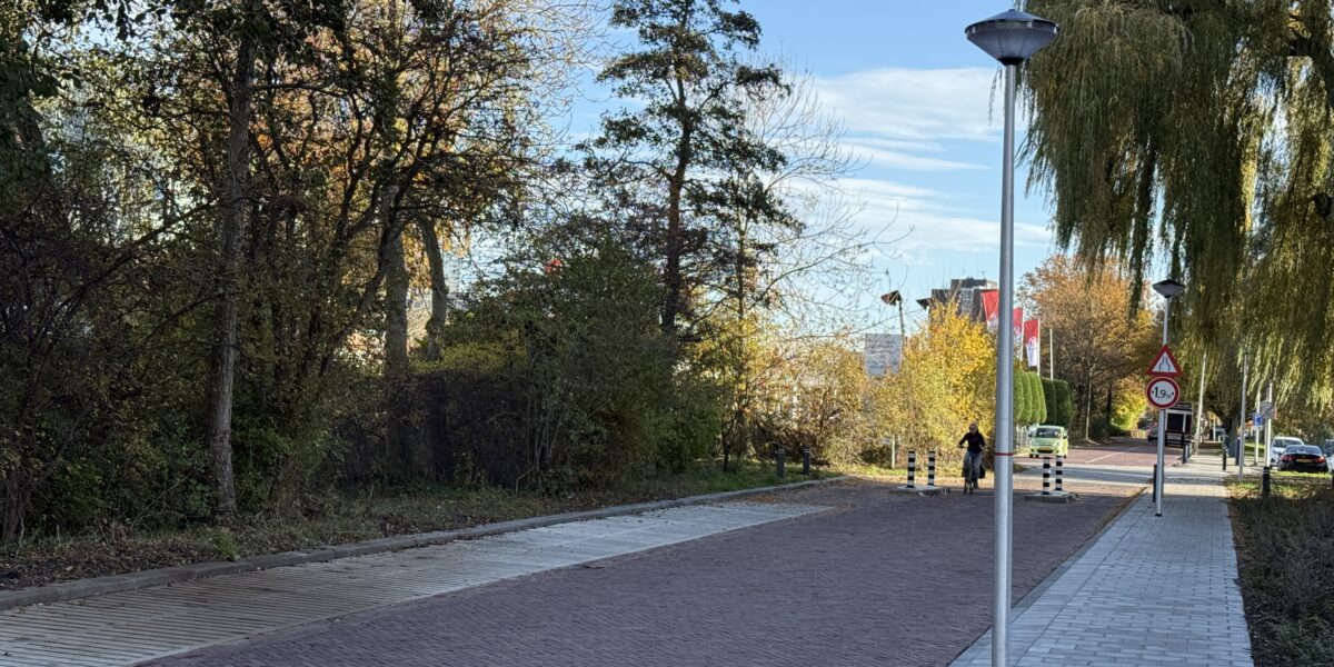 Storing straatverlichting in Leiderdorp: noodverlichting geplaatst in Van der Marckstraat en Pinkste