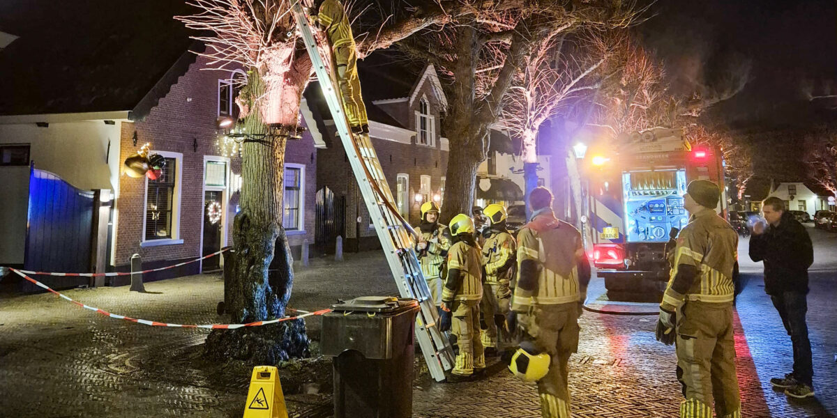Boombrand in Voorschotense Voorstraat: monumentale lindeboom in de fik