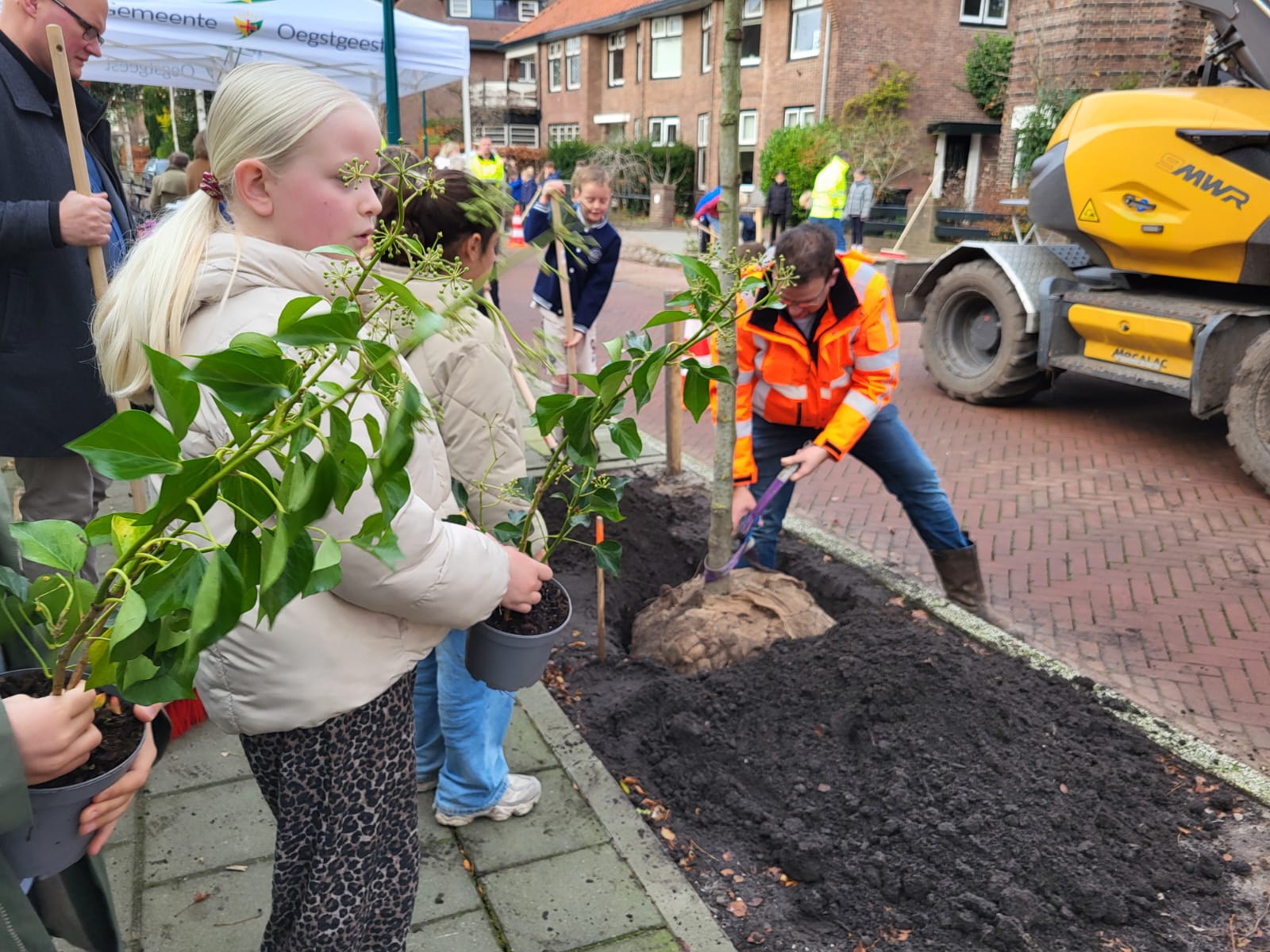 Rondom de boom werden kleinere planten geplaatst