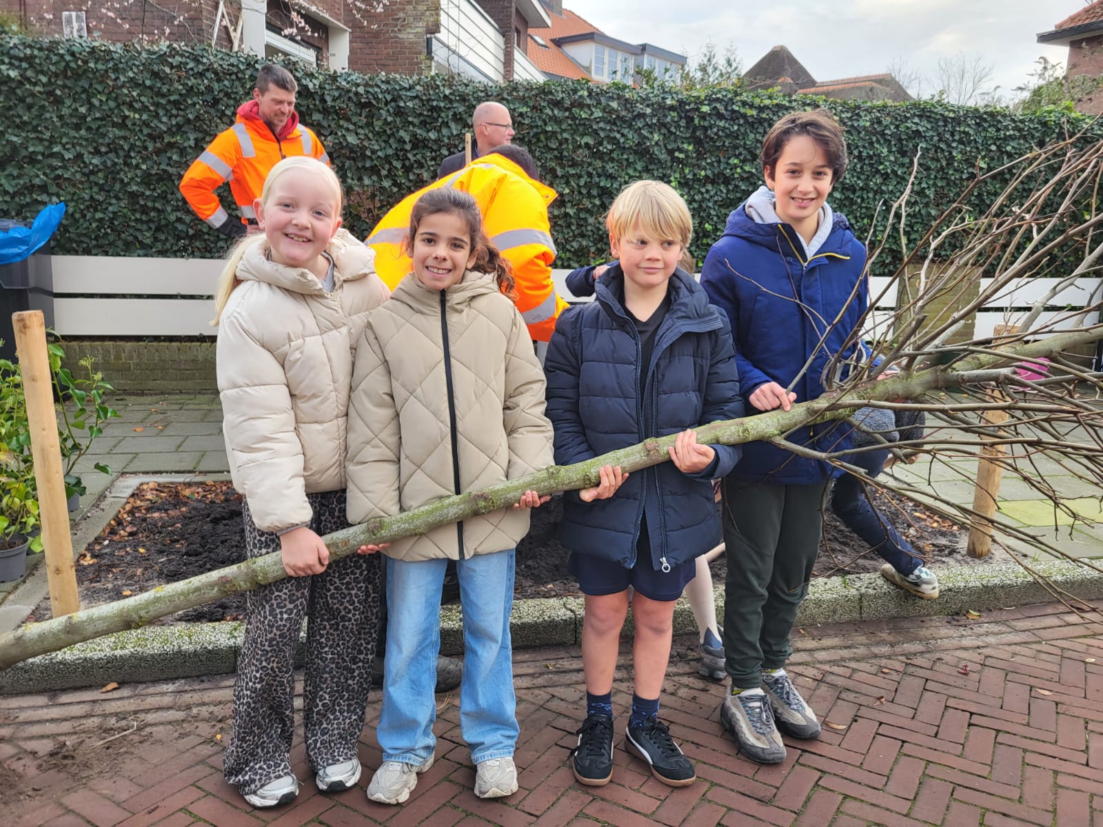 Vooral de wortels van de boom waren zwaar