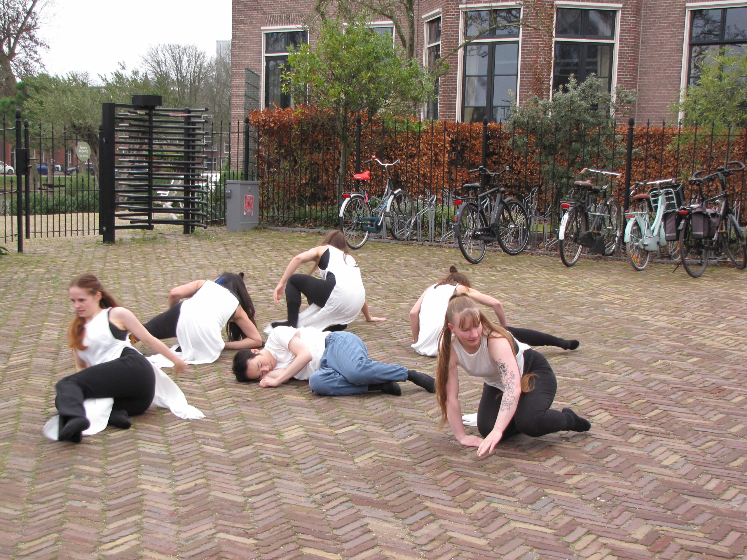 Daar waren we precies op tijd voor een Ballet Contemporary-dans over water spirits, door een dansgroep van Tribes Studio. (Foto: Paul Aalbers)