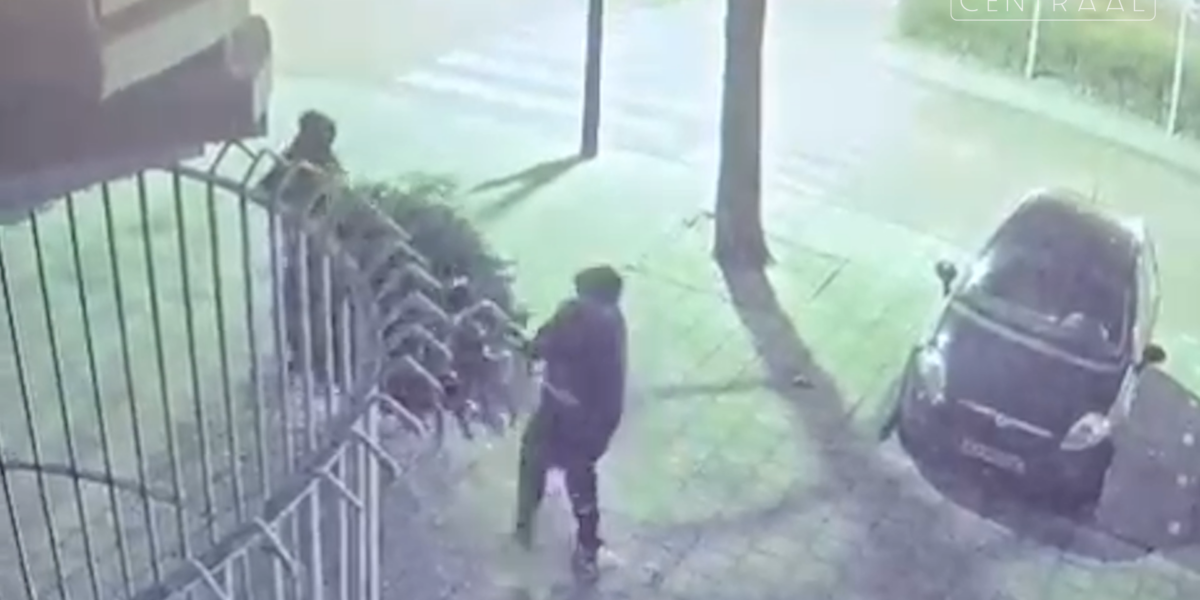 Dieven stelen 3 meter grote kerstboom bij oliebollenkraam: 'Het is heel lullig'