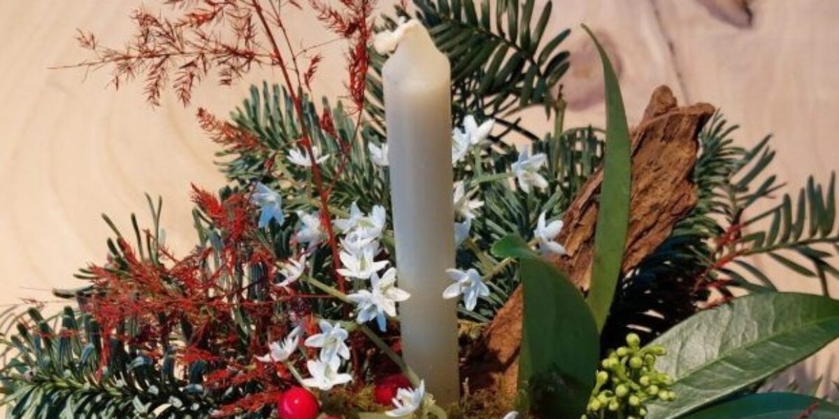 Centraal+ Weekoverzicht