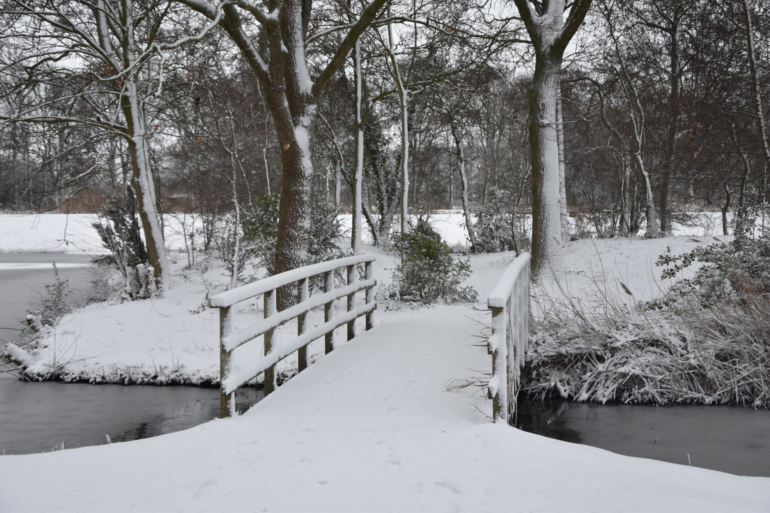 Foto: Peter van Delft