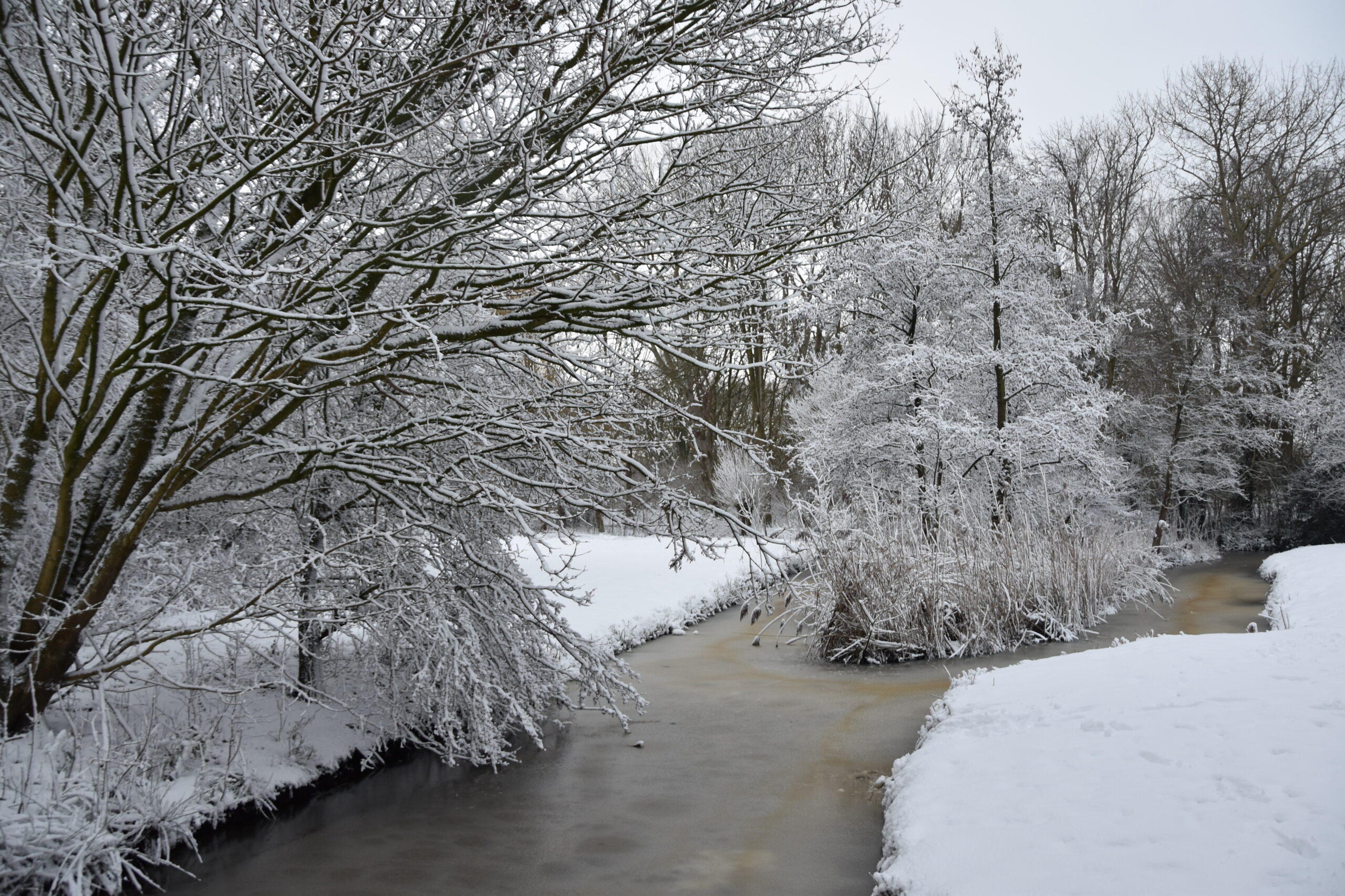 Foto: Peter van Delft