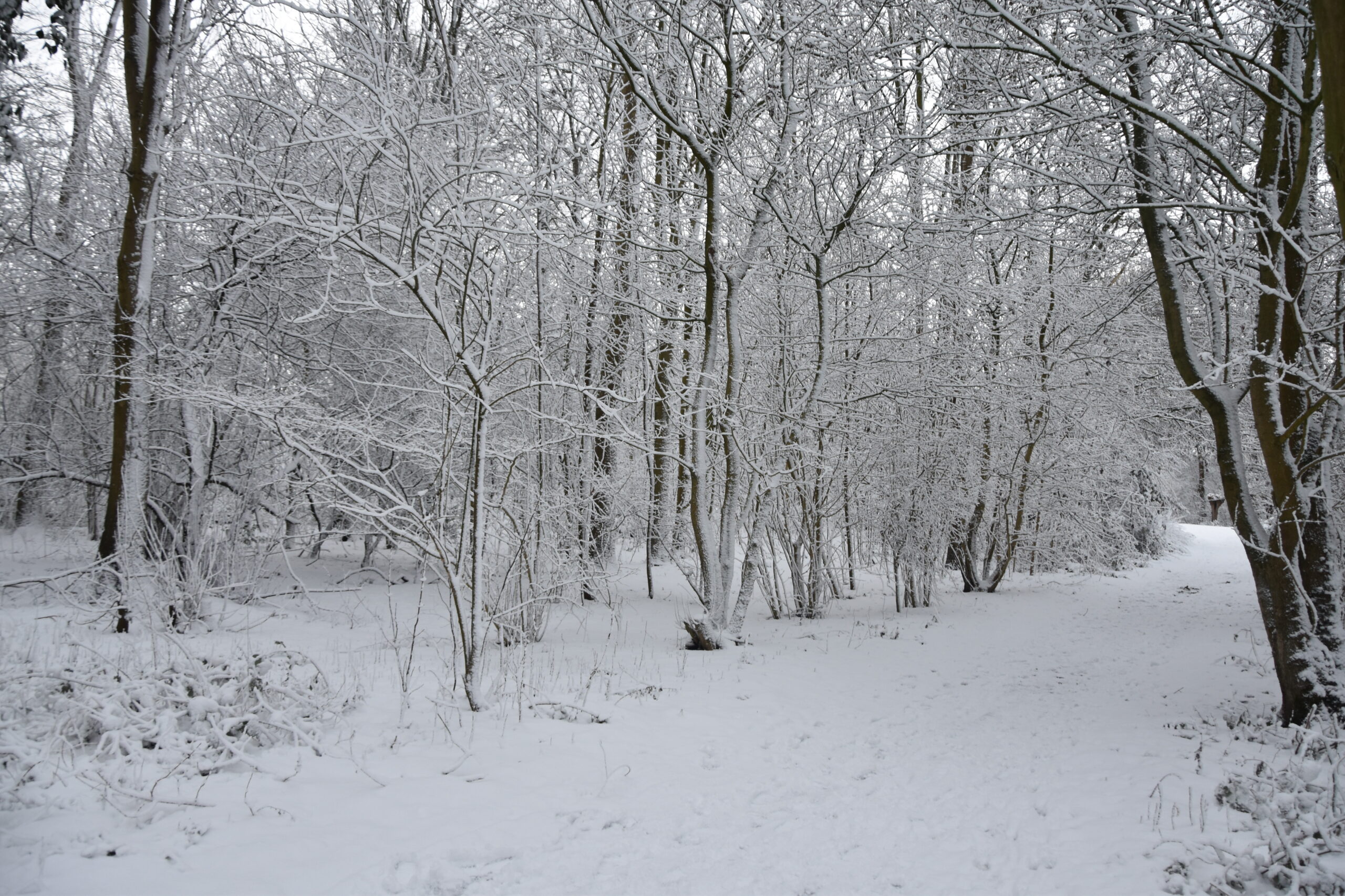 Foto: Peter van Delft