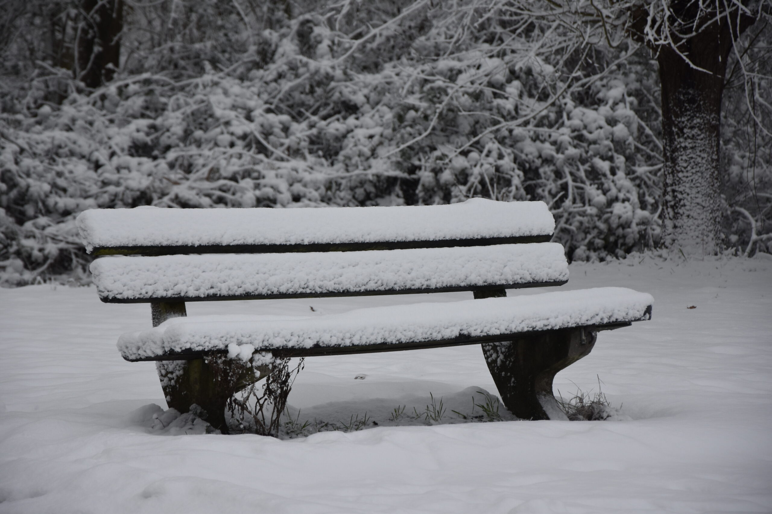 Foto: Peter van Delft