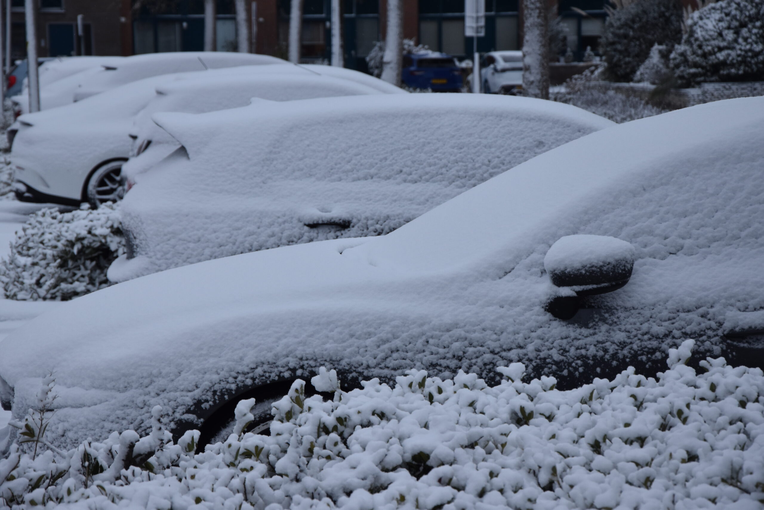 Foto: Peter van Delft