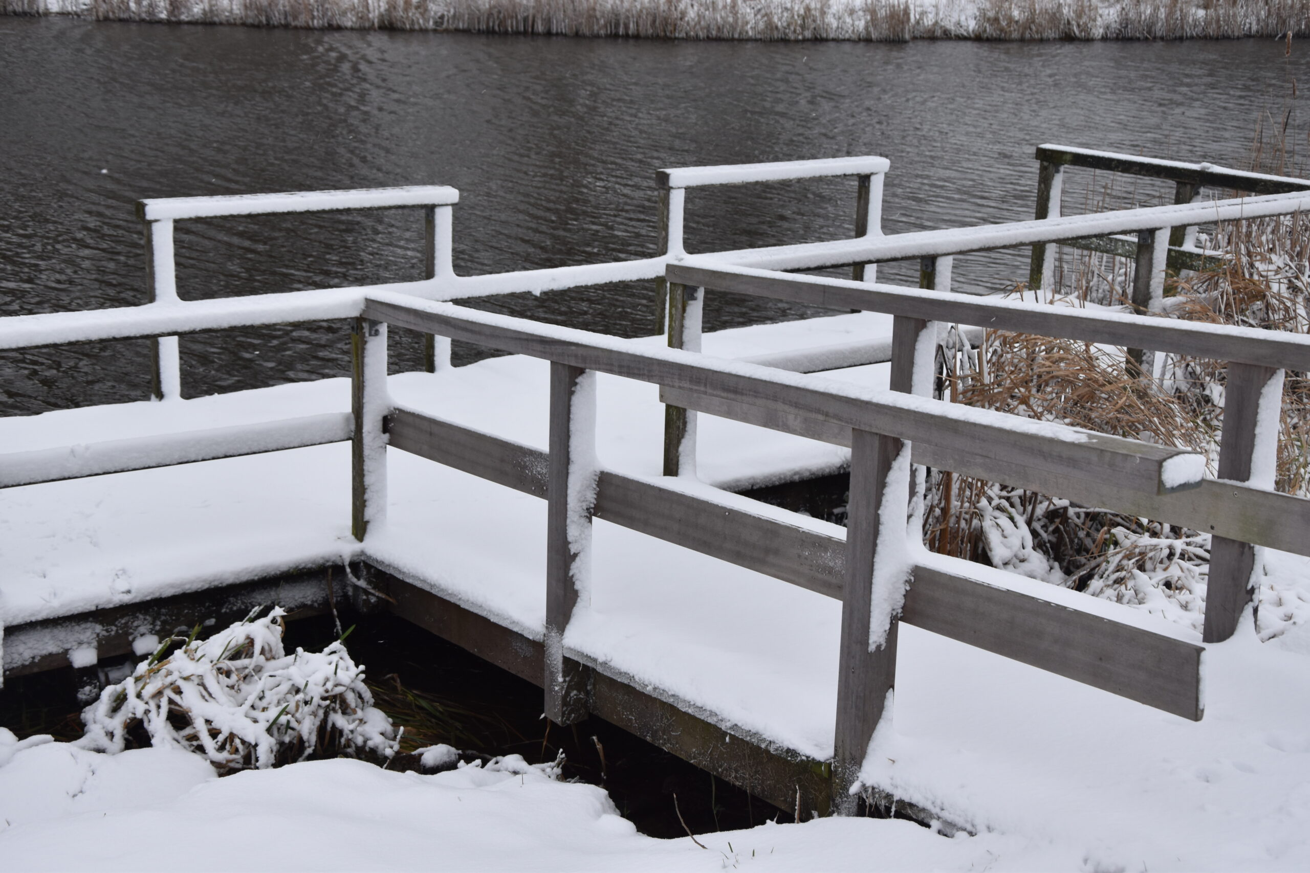 Foto: Peter van Delft