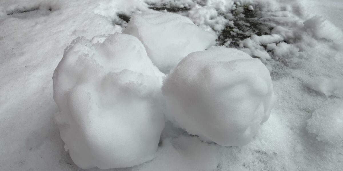 Student organiseert sneeuwballengevecht op Beestenmarkt
