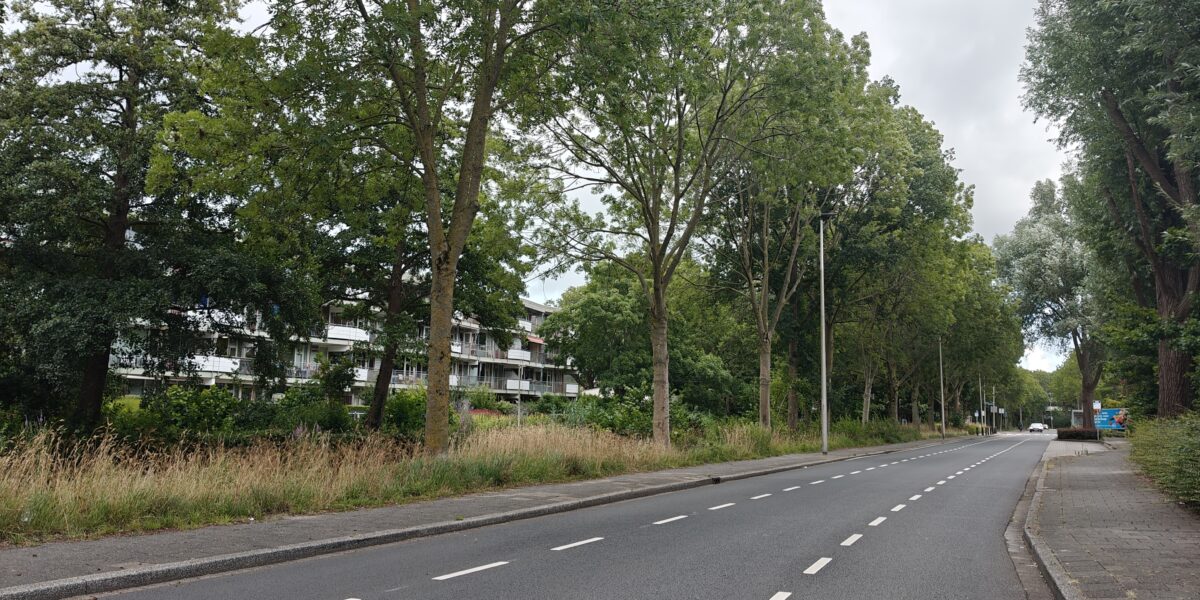 Leiderdorp kiest voor dertig kilometer per uur op drie wegen