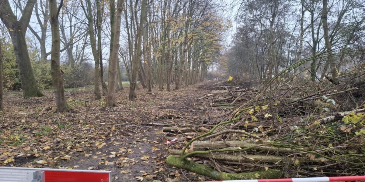 Opbrengst pubquiz Vlietland steunt juridische strijd tegen vakantiepark