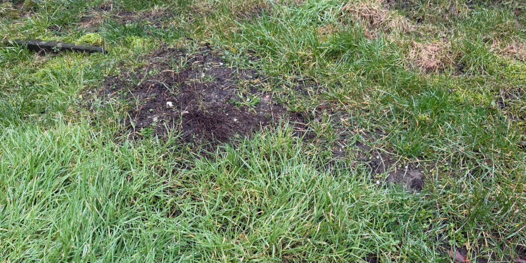 Mollentelling in Regio Leiden