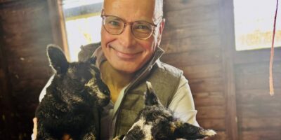 Burgemeester Emile Jaensch uit Oegstgeest met pasgeboren lammetjes.