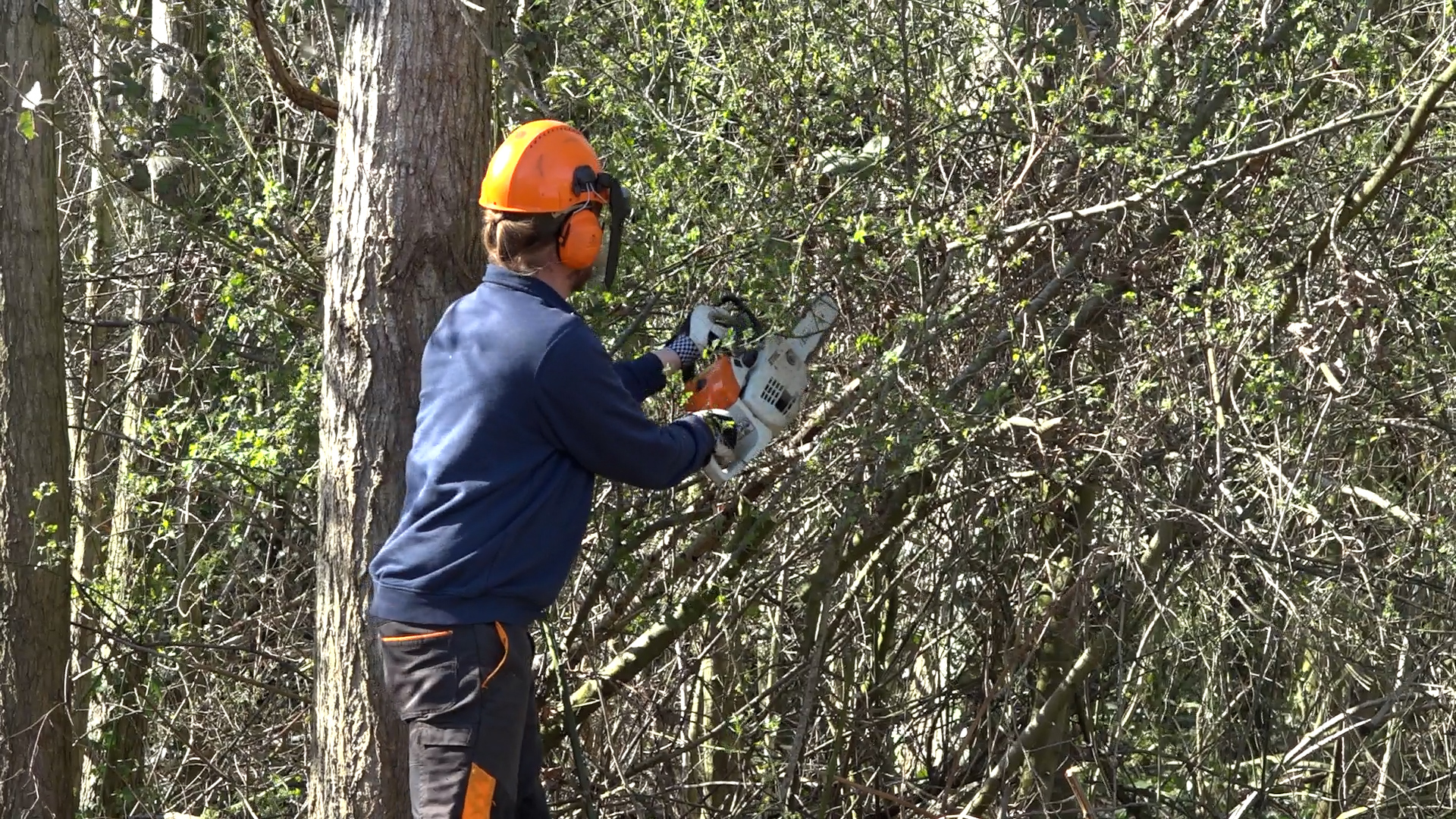 Ook het openbaar groen wordt bijgehouden