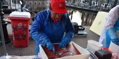 Tekort aan haringschoonmakers dreigt voor 3 oktober