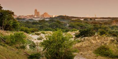 Op de foto is het natuurgebied Hollandse Duinen te zien. Een natuurgebied langs de Zuid-Hollandse kust. Het gehele gebied loopt van Hoek van Holland tot Hillegom en is meer dan achttien duizend hectare groot. Het bestaat uit duinen, stranden, landgoederen, bossen, parken, bollenvelden, dorpen en steden.