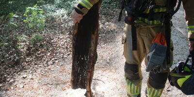 In Oegstgeest vond een brand in berm en struikgewas plaats aan de Louise de Colignylaan. De brand, die ontstond in een boomstam, werd al snel ontdekt. De brandweer werd ingeschakeld en heeft met twee emmers water uit de sloot de vlammen gedoofd. Het aangetaste gedeelte is vervolgens in de sloot gelegd. Voor de bestrijding van de brand waren brandweerlieden van het korps uit Leiden-Noord aanwezig met een tankautospuit.