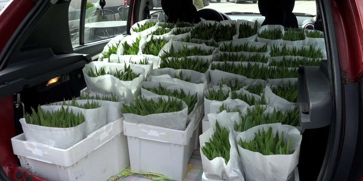 Centraal+ Weekoverzicht 14: lichaam gevonden in water Stille Mare en opening schooltuinseizoen