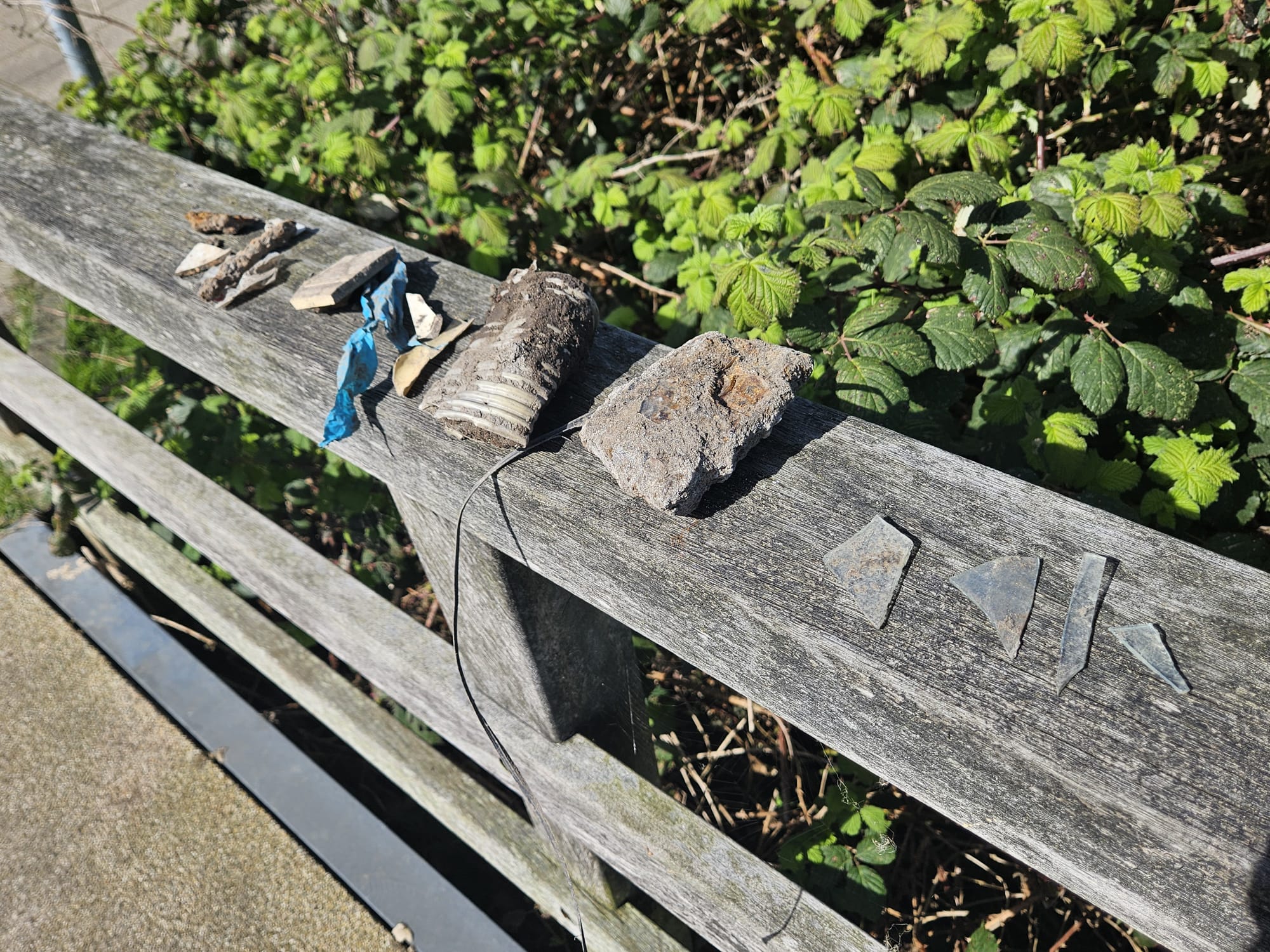 Glas en ander afval uit de nieuwe berm langs de Dwarswatering. (Foto: Peter van Delft)