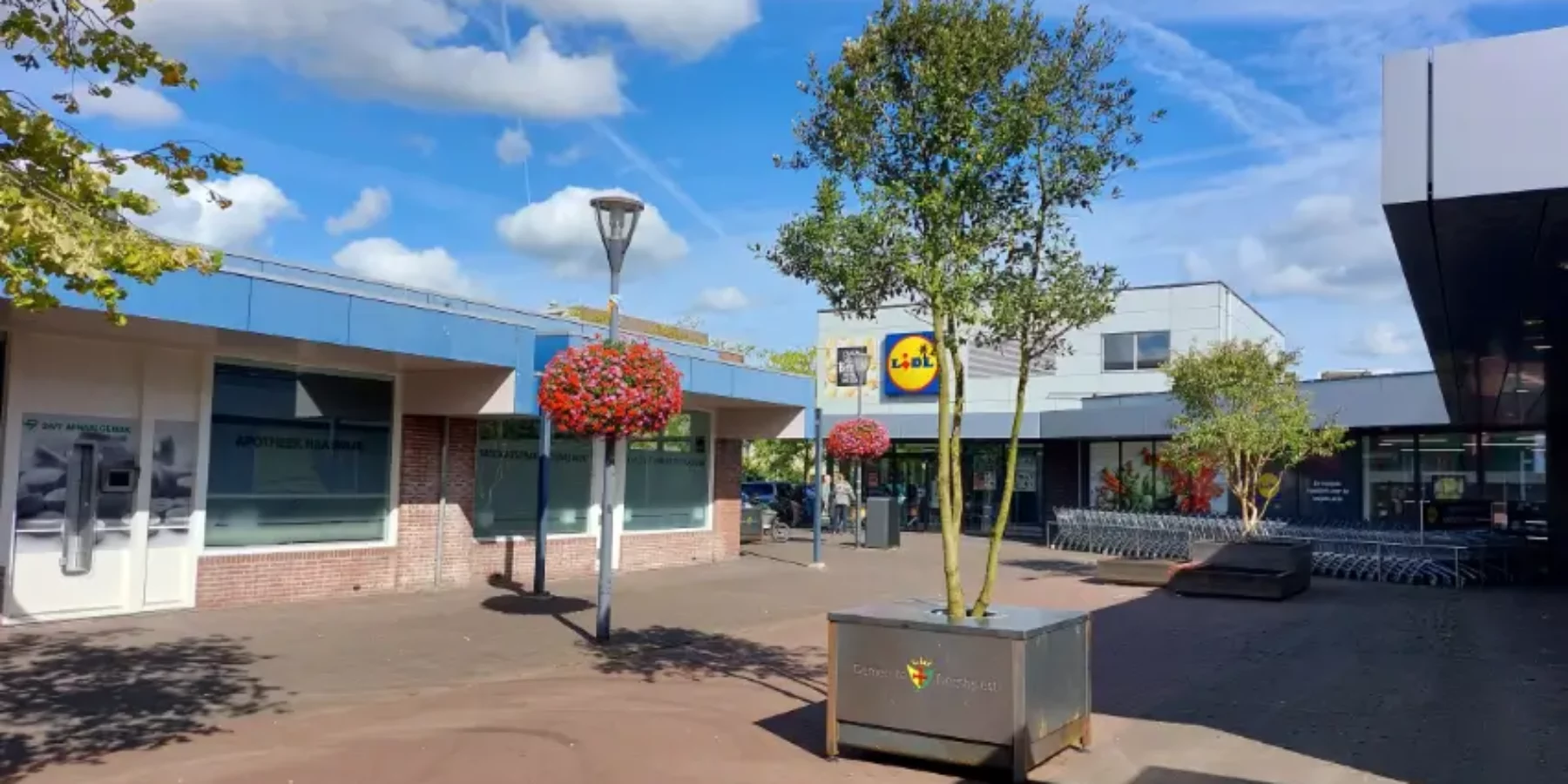 Bomen in verplaatsbare bakken op het Boerhaaveplein in Oegstgeest.