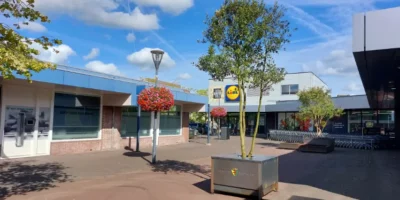 Bomen in verplaatsbare bakken op het Boerhaaveplein in Oegstgeest.