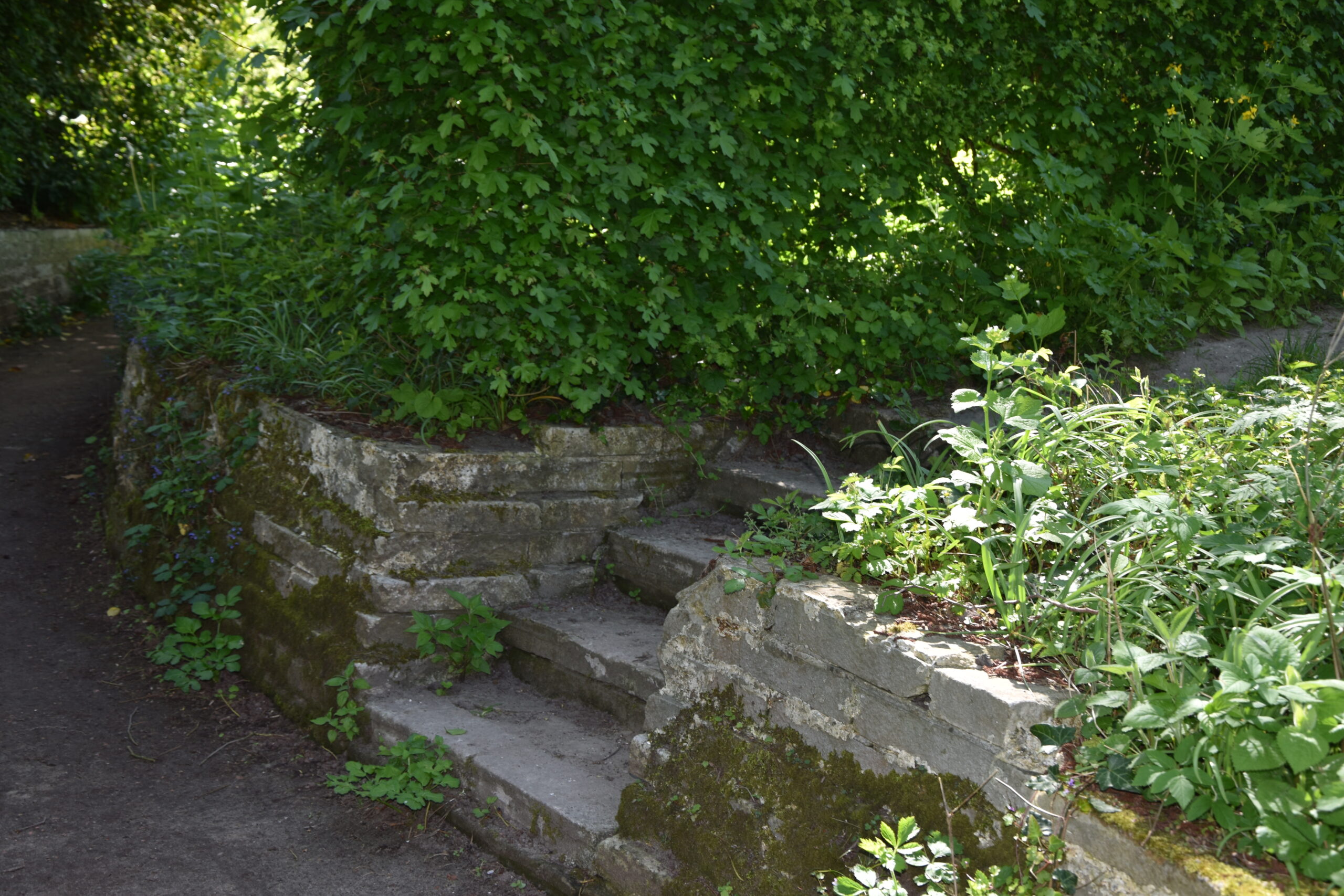 Beeldententoonstelling in de Heemtuin Leiderdorp. (Foto: Peter van Delft)