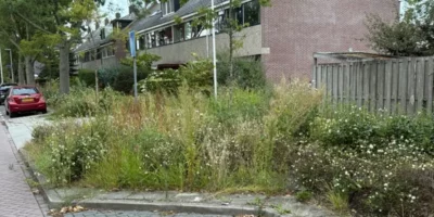 Een stukje groen dat helemaal overwoekerd is en over de stoep heengroeit