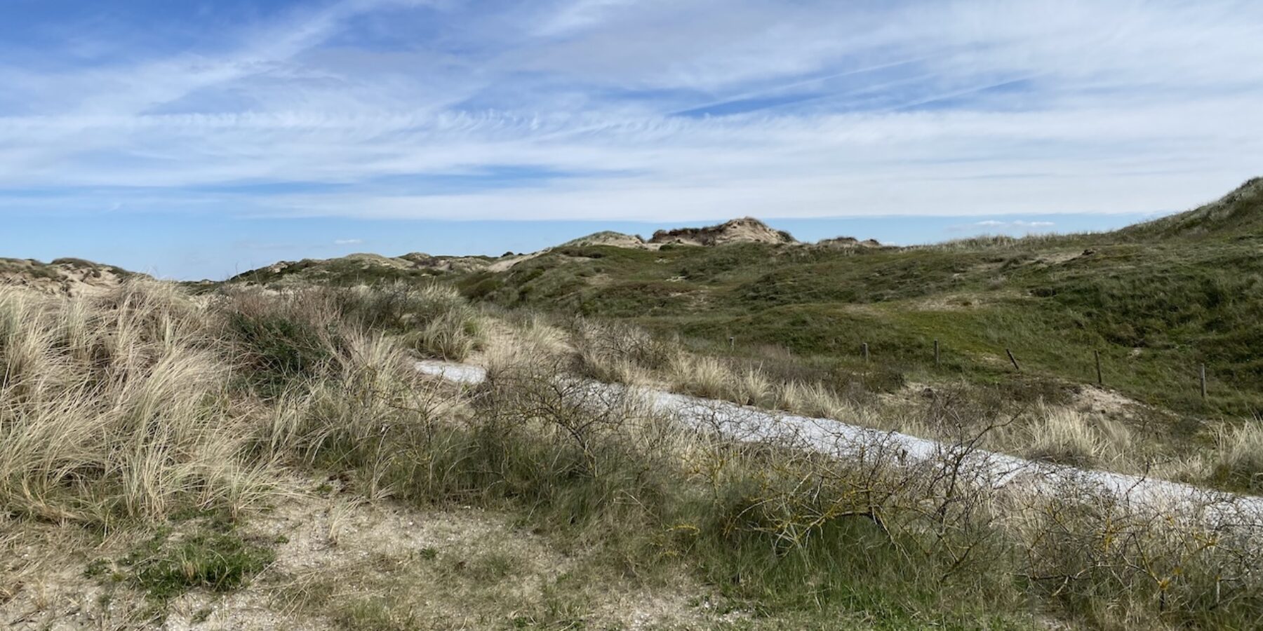 Hollandse Duinen