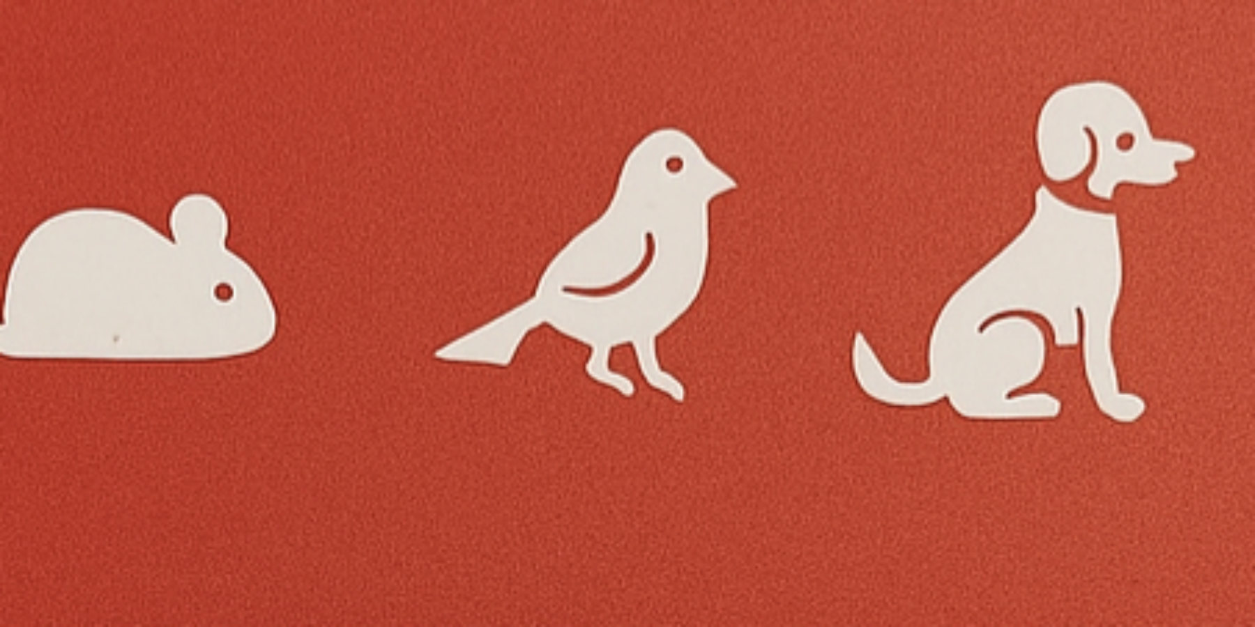 huisdier-in-huis-sticker gemeente leiden