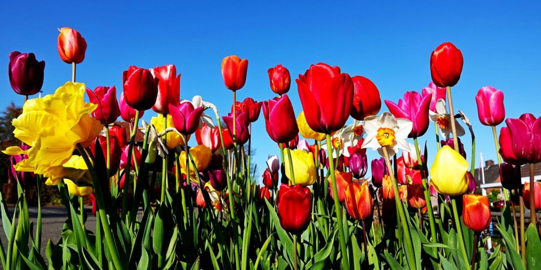 Het wordt voorlopig niet echt warm