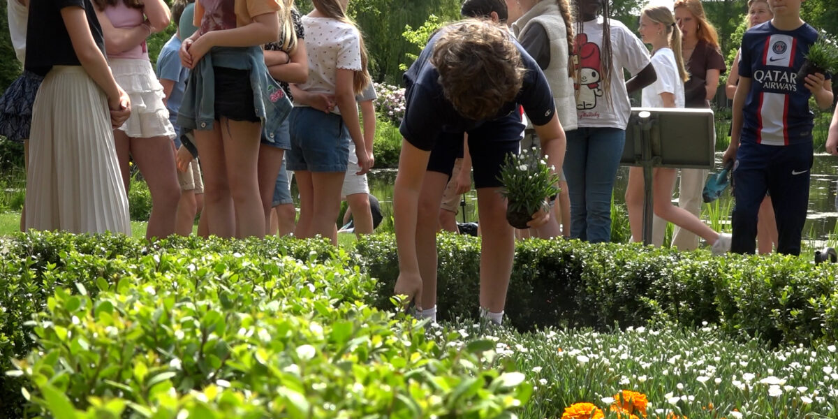 Centraal+ Weekoverzicht 22: Beplanting Witte Anjer Perk en Nieuwe bijenburcht