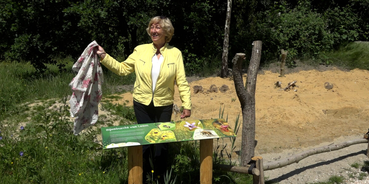Nieuwe bijenburcht in Leiderdorp moet wilde bijen helpen